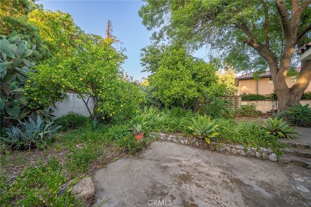 125 W 11th St, Claremont, CA 91711 - view of yard featuring a patio
