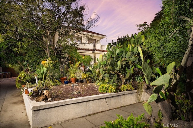125 W 11th St, Claremont, CA 91711 - view of yard
