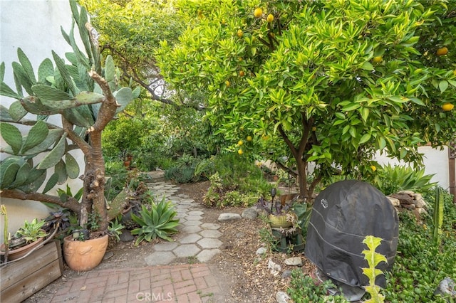 125 W 11th St, Claremont, CA 91711 - view of yard