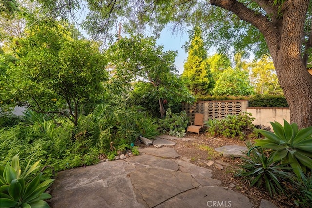 125 W 11th St, Claremont, CA 91711 - view of patio