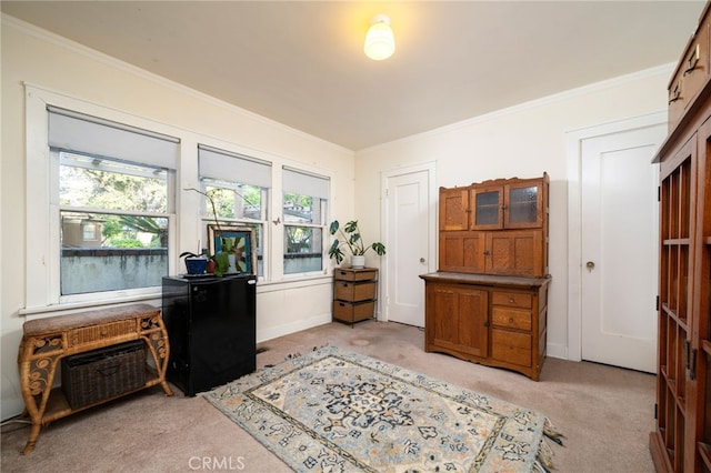 125 W 11th St, Claremont, CA 91711 - office area with light colored carpet, crown molding, and baseboards