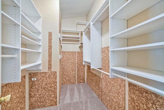 6496 Friendly Pl, Carlsbad, CA 92011 - view of spacious closet