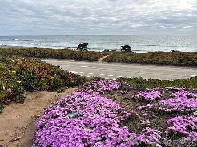 6496 Friendly Pl, Carlsbad, CA 92011 - water view