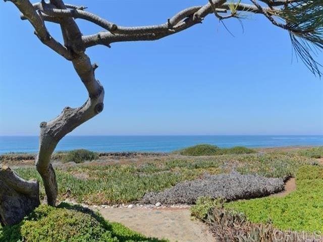 6496 Friendly Pl, Carlsbad, CA 92011 - exterior view