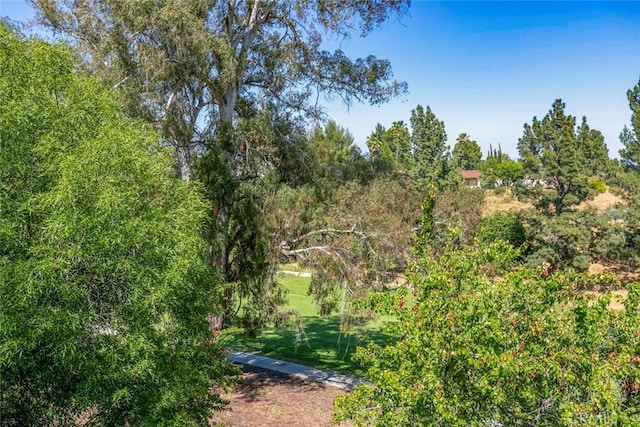12410 Mclennan Ave, Granada Hills, CA 91344 - view of local wilderness