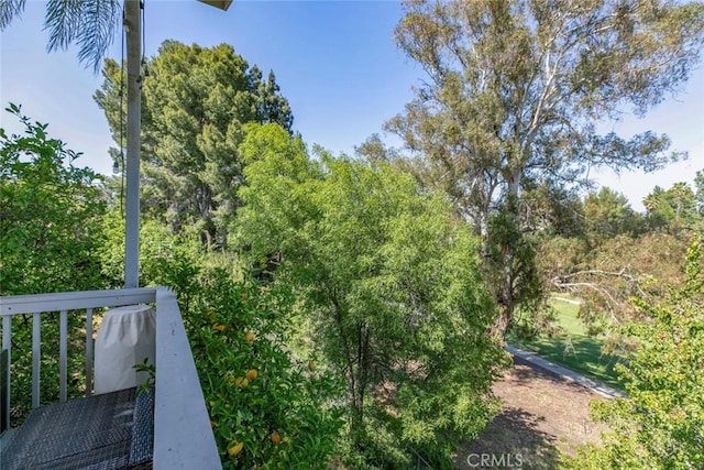 12410 Mclennan Ave, Granada Hills, CA 91344 - view of yard