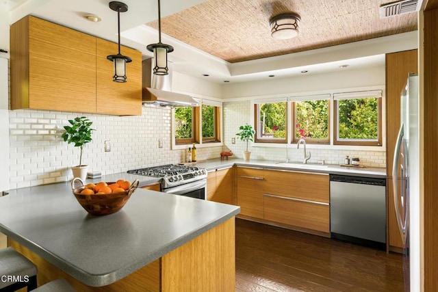 1364 N Harding Ave, Pasadena, CA 91104 - kitchen featuring appliances with stainless steel finishes, a tray ceiling, a peninsula, modern cabinets, and dark wood finished floors