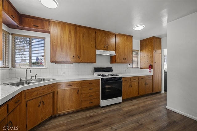 6031 Beck Ave, North Hollywood, CA 91606 - kitchen with range with gas stovetop, under cabinet range hood, a sink, and tasteful backsplash