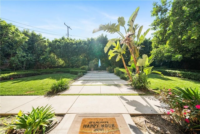 553 Woodward Blvd, Pasadena, CA 91107 - view of grassy yard