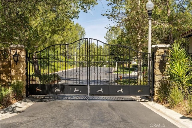26800 Fairlain Dr, Valencia, CA 91355 - view of gate