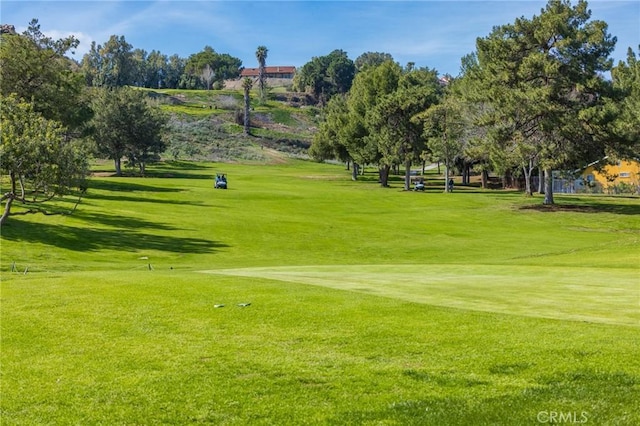 5760 Falling Leaf Ln, Jurupa Valley, CA 92509 - view of property's community featuring golf course view, a yard, and view of scattered trees