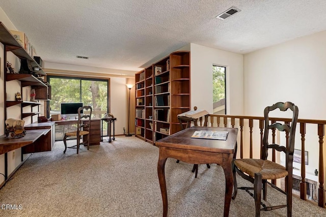 2025 Rosemont Ave Unit 2, Pasadena, CA 91103 - carpeted office space featuring plenty of natural light and a textured ceiling