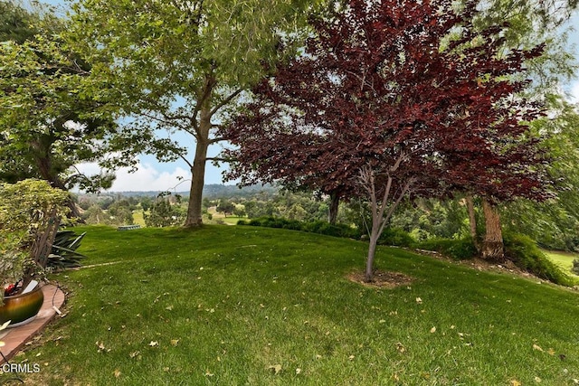 2025 Rosemont Ave Unit 2, Pasadena, CA 91103 - view of grassy yard
