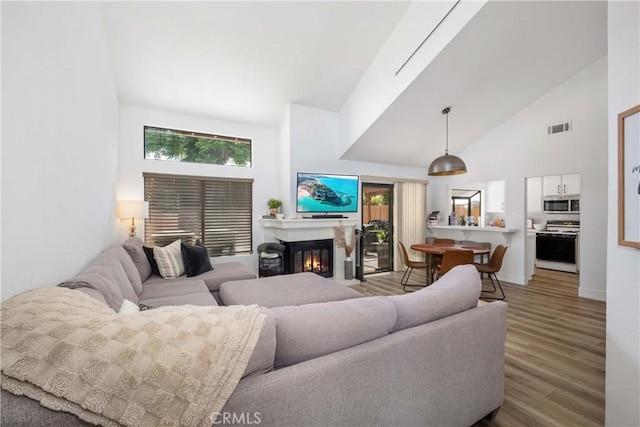 1132 Santiago Dr Unit 11, Placentia, CA 92870 - living area featuring high vaulted ceiling, wood finished floors, and a glass covered fireplace