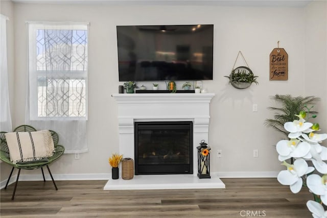 28709 Wildflower, Castaic, CA 91384 - living area featuring wood finished floors, baseboards, and a glass covered fireplace
