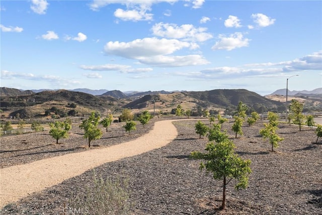28709 Wildflower, Castaic, CA 91384 - view of mountain background featuring rural landscape