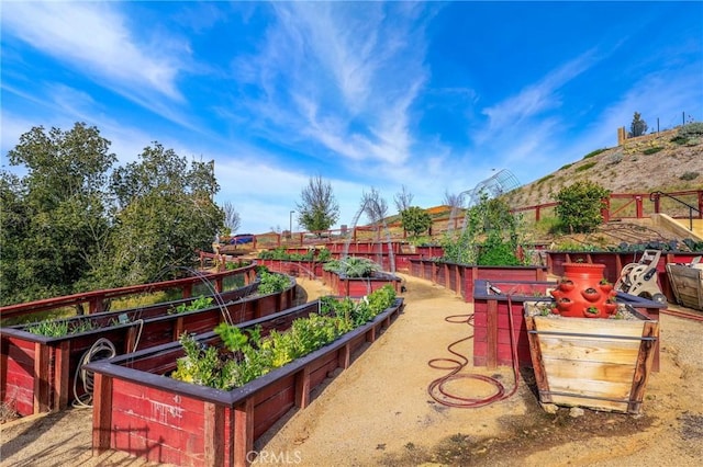 24190 Evesong Dr, Corona, CA 92883 - view of property's community featuring a vegetable garden
