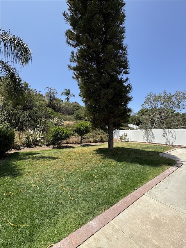 3178 Dogwood Dr, Corona, CA 92882 - view of yard