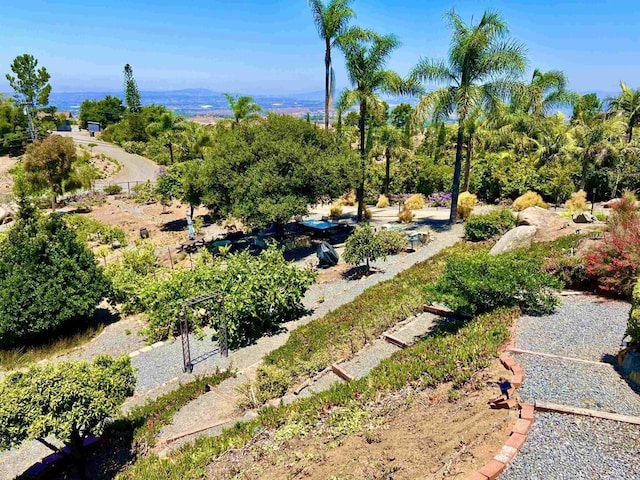 2073 Elevado Rd, Vista, CA 92084 - view of yard