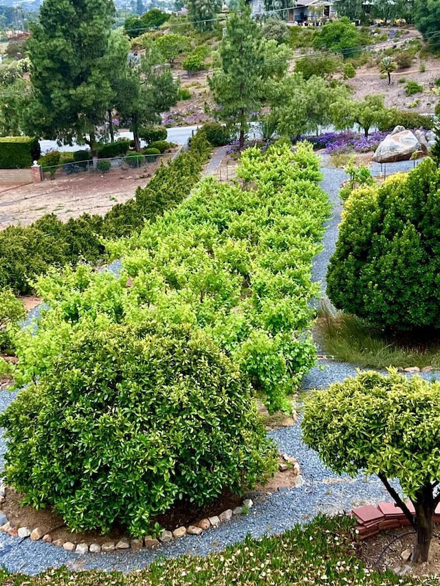 2073 Elevado Rd, Vista, CA 92084 - view of yard