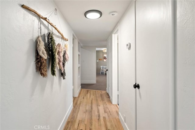 1516 Downing Ave, Chico, CA 95926 - hall with baseboards and light wood-style flooring