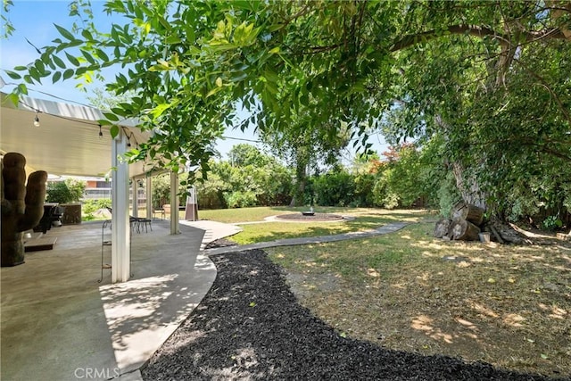 1516 Downing Ave, Chico, CA 95926 - view of yard featuring a patio