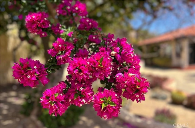 28306 Crescent Hill Way, Escondido, CA 92026 - detailed view