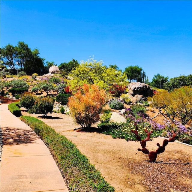 28306 Crescent Hill Way, Escondido, CA 92026 - view of yard