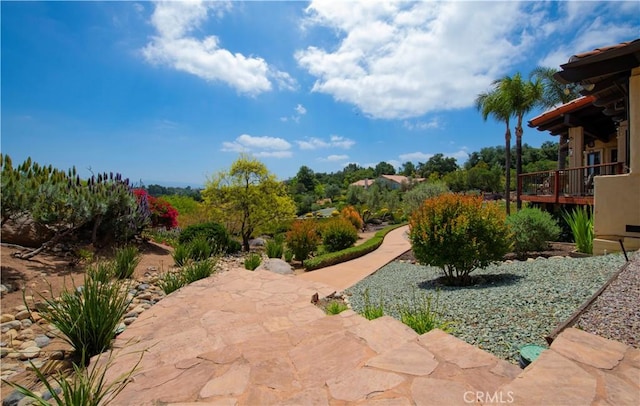 28306 Crescent Hill Way, Escondido, CA 92026 - view of yard