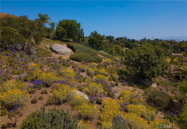 28306 Crescent Hill Way, Escondido, CA 92026 - view of nature