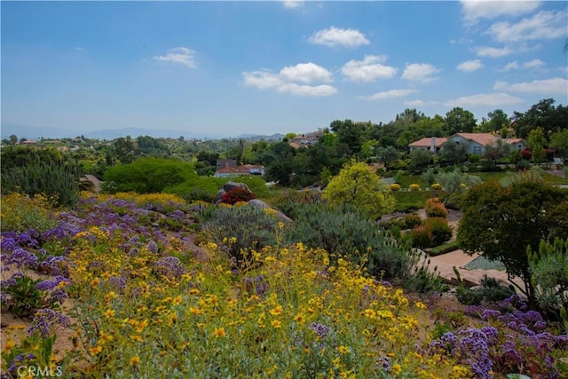 28306 Crescent Hill Way, Escondido, CA 92026 - view of nature