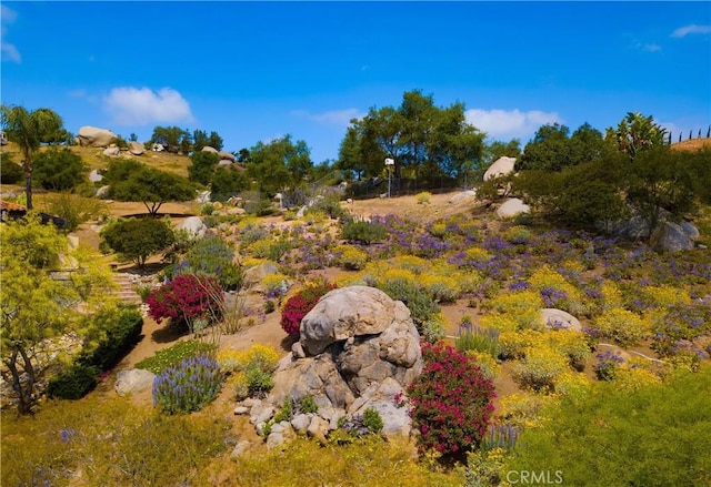 28306 Crescent Hill Way, Escondido, CA 92026 - view of local wilderness