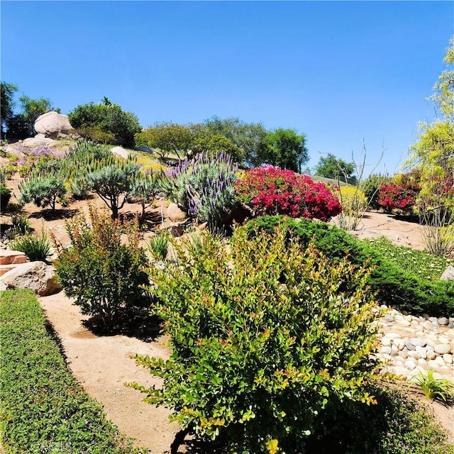 28306 Crescent Hill Way, Escondido, CA 92026 - view of yard