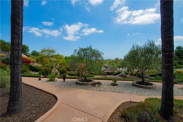 28306 Crescent Hill Way, Escondido, CA 92026 - view of property's community