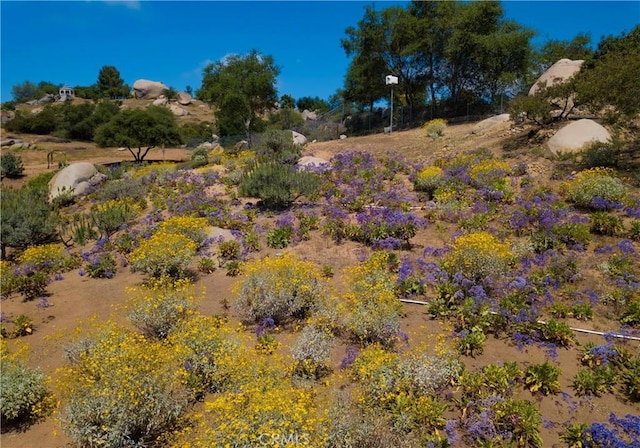 28306 Crescent Hill Way, Escondido, CA 92026 - view of undeveloped land