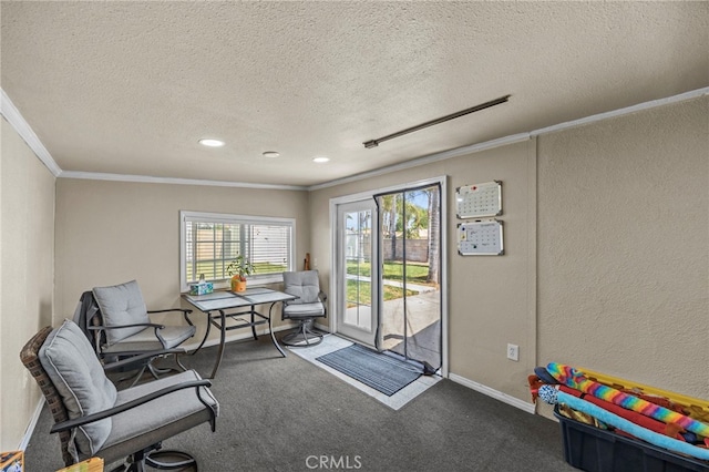 4909 Sepulveda Ave, San Bernardino, CA 92404 - living area with crown molding, carpet floors, a textured ceiling, recessed lighting, and a textured wall