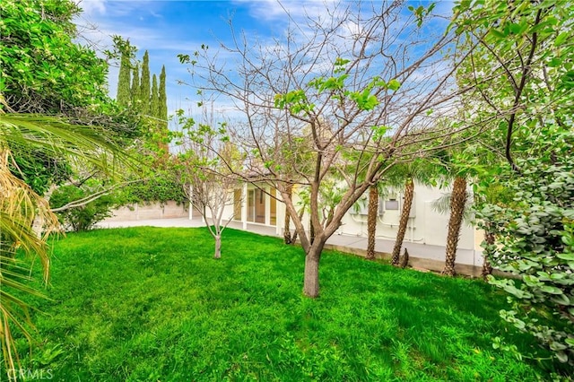 4637 Nagle Ave, Sherman Oaks, CA 91423 - view of grassy yard