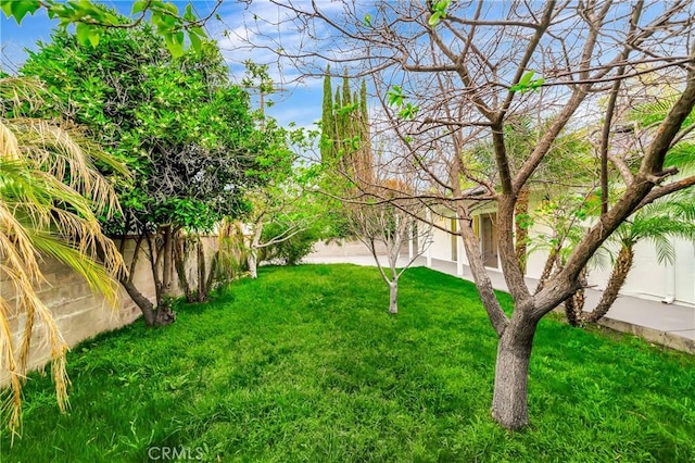 4637 Nagle Ave, Sherman Oaks, CA 91423 - view of green lawn