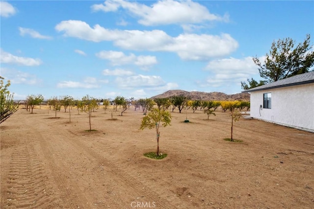 14040 Oden Dr, Apple Valley, CA 92307 - photo 44