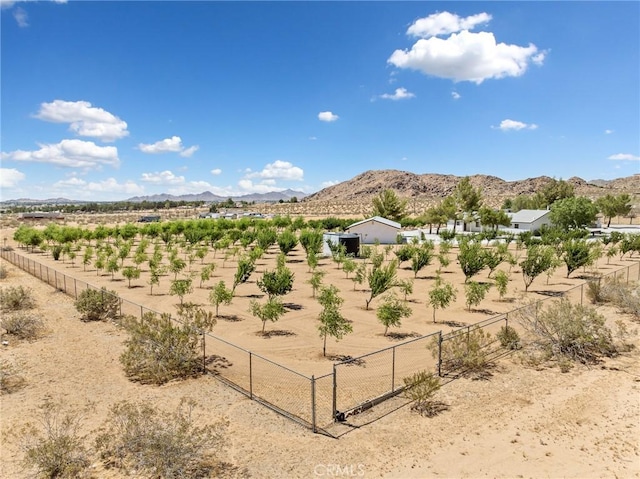 14040 Oden Dr, Apple Valley, CA 92307 - photo 56