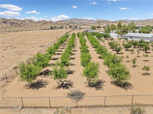14040 Oden Dr, Apple Valley, CA 92307 - photo 65