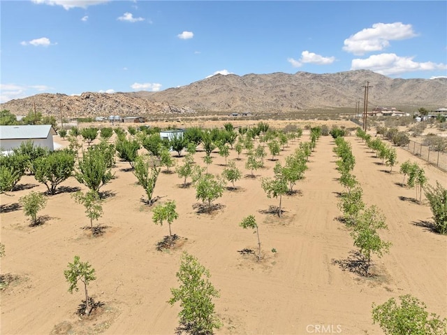 14040 Oden Dr, Apple Valley, CA 92307 - photo 64