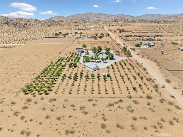 14040 Oden Dr, Apple Valley, CA 92307 - photo 67