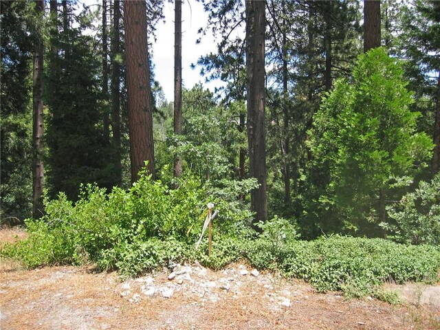 135 N Fairway Dr, Lake Arrowhead, CA 92391