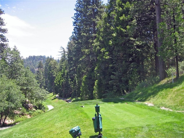 135 N Fairway Dr, Lake Arrowhead, CA 92391