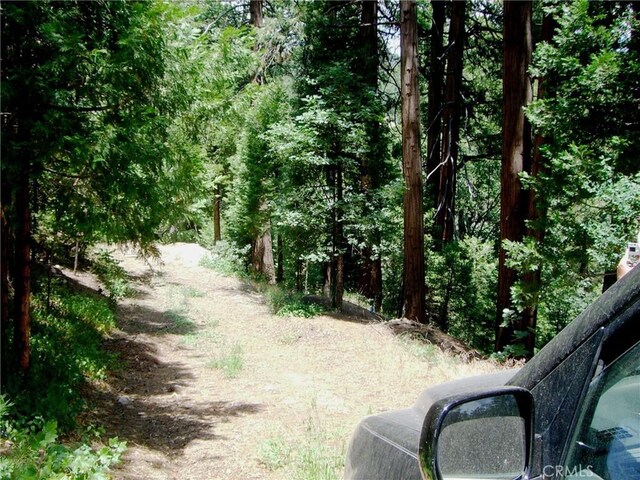 135 N Fairway Dr, Lake Arrowhead, CA 92391