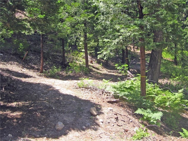 135 N Fairway Dr, Lake Arrowhead, CA 92391