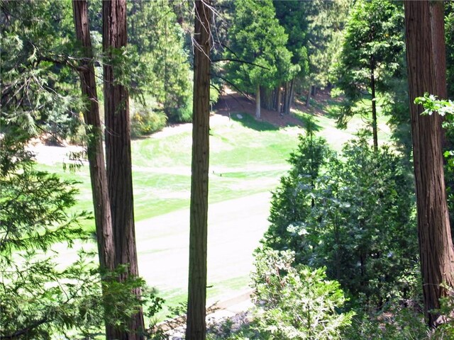 135 N Fairway Dr, Lake Arrowhead, CA 92391