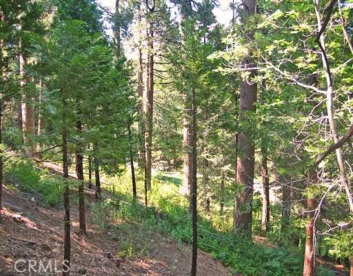 135 N Fairway Dr, Lake Arrowhead, CA 92391