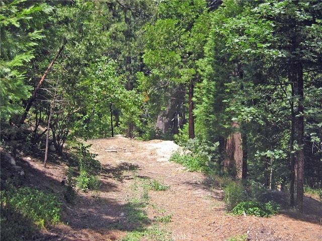 135 N Fairway Dr, Lake Arrowhead, CA 92391